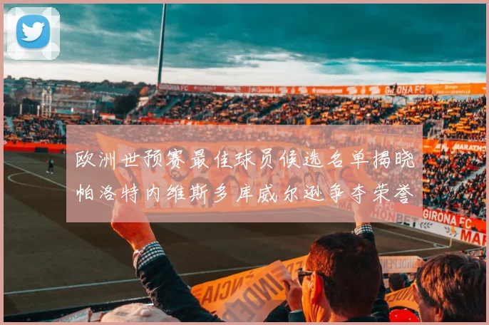 欧洲世预赛最佳球员候选名单揭晓帕洛特内维斯多库威尔逊争夺荣誉