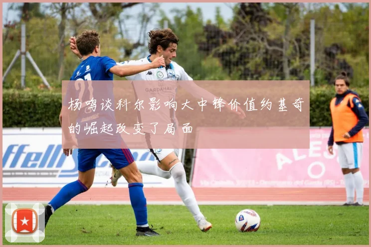 杨鸣谈科尔影响大中锋价值约基奇的崛起改变了局面