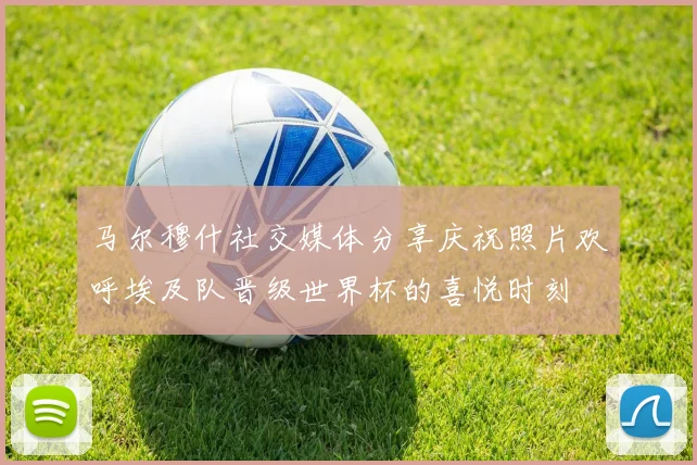 马尔穆什社交媒体分享庆祝照片欢呼埃及队晋级世界杯的喜悦时刻